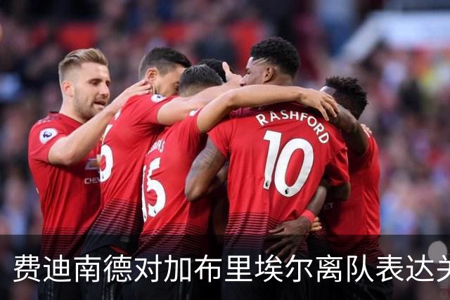 费迪南德对加布里埃尔离队表达关切：曼联应坚定立场